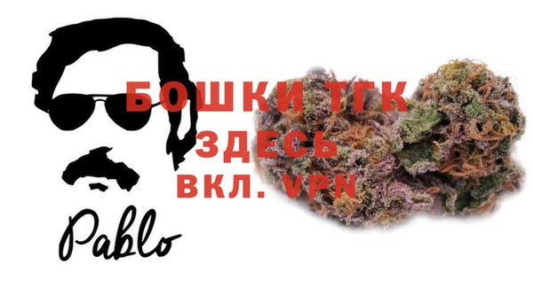 сатива Армянск