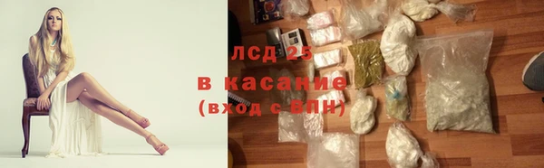 гашик Аркадак