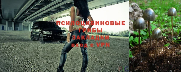 меф Арсеньев