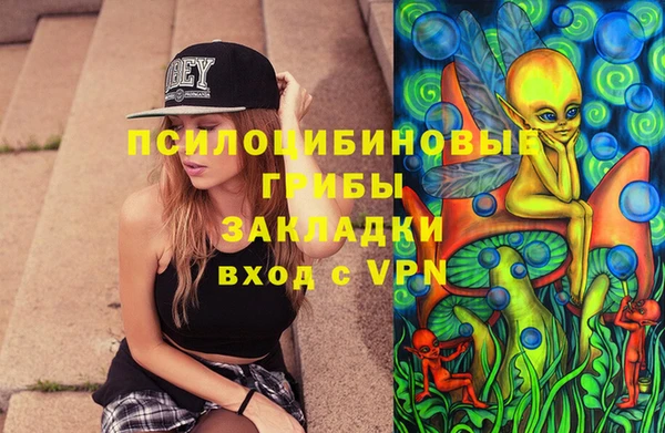 сатива Армянск