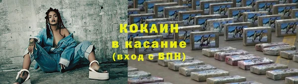 гашик Аркадак